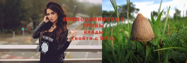 скорость Абаза